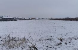 Teren intravilan Burdujeni 1200 mp