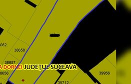 Casa si teren de 17.846 mp în Argestru, Suceava