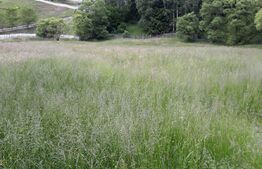 Casa si teren de 17.846 mp în Argestru, Suceava