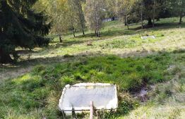 Casa si teren de 17.846 mp în Argestru, Suceava