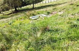 Casa si teren de 17.846 mp în Argestru, Suceava