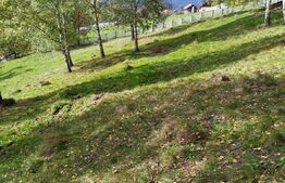 Casa si teren de 17.846 mp în Argestru, Suceava