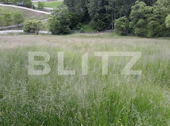 Casa de vânzare 6 camere Exterior Vest - 132247CV | BLITZ Suceava | Poza6