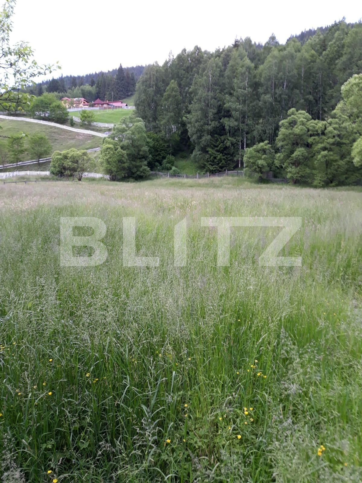 Casa de vânzare 6 camere Exterior Vest - 132247CV | BLITZ Suceava | Poza6