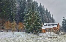 Cabana, Vatra Moldovitei, 380 mp 