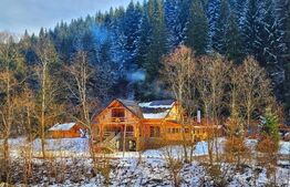 Cabana, Vatra Moldovitei, 380 mp 