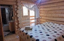 Cabana, Vatra Moldovitei, 380 mp 