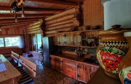 Cabana, Vatra Moldovitei, 380 mp 