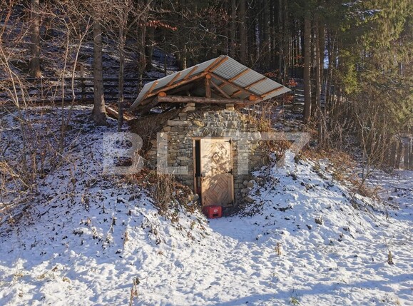 Casa de vânzare 6 camere Exterior Vest - 132254CV | BLITZ Suceava | Poza17