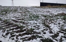 Teren intravilan, 11,7 ari, Sf Ilie cu urbanism P+1