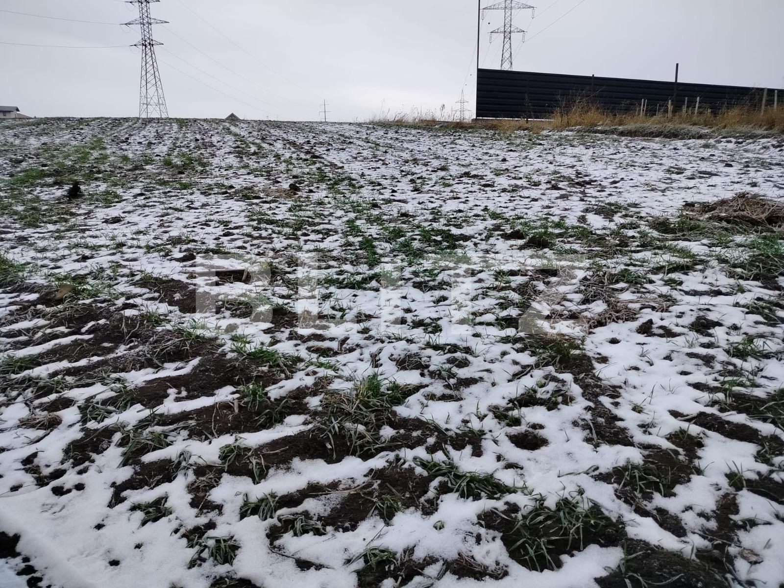 Teren de vânzare Sfantu Ilie - 132355TV | BLITZ Suceava | Poza3