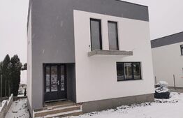 Casa individuala 120mp, Ipotesti