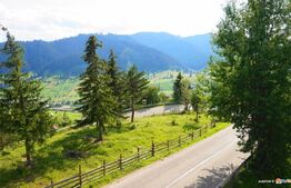 Afacere la cheie! Complex turistic Sadova , P+3E, 2000 mp utili , 9.658 mp teren