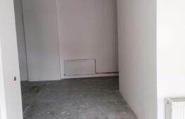 Spatiu comercial 690 mp, zona Centrală