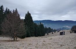 Teren intravilan 12.307 mp Dorna Arini