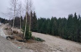 Teren intravilan 12.307 mp Dorna Arini