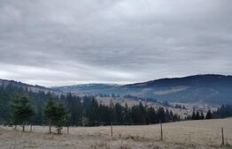 Teren intravilan 12.307 mp Dorna Arini