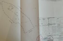 Teren intravilan 12.307 mp Dorna Arini