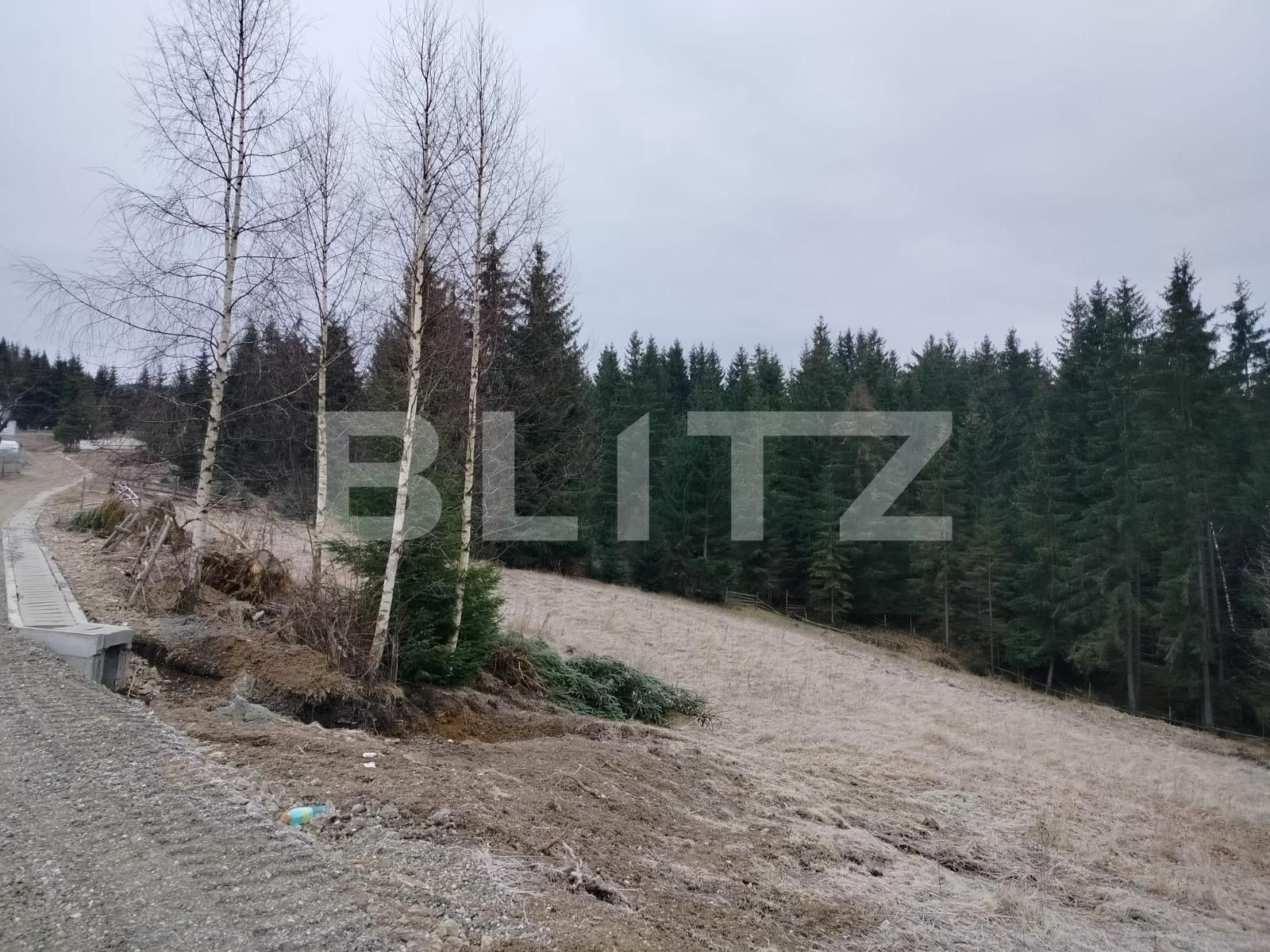 Teren de vânzare Exterior Vest - 133224TV | BLITZ Suceava | Poza3