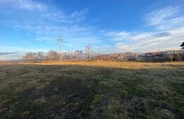 Teren intravilan, Siret, posibilitate de parcelare