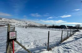 Teren intravilan, 10.000 mp, deschidere 23 ml, în Fălticeni