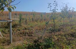 Teren extravilan 2327 mp,livada ,Scheia 