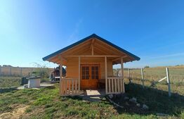 Teren extravilan 2327 mp,livada ,Scheia 