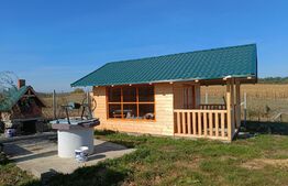 Teren extravilan 2327 mp,livada ,Scheia 