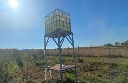 Teren extravilan 2327 mp,livada ,Scheia 