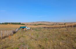 Teren extravilan 2327 mp,livada ,Scheia 