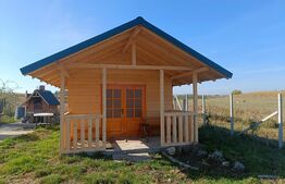 Teren extravilan 2327 mp,livada ,Scheia 