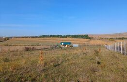 Teren extravilan 2327 mp,livada ,Scheia 