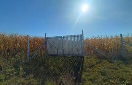 Teren extravilan 2327 mp,livada ,Scheia 