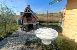 Teren extravilan 2327 mp,livada ,Scheia 