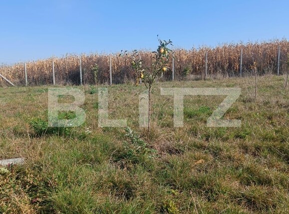 Teren de vânzare Scheia - 133771TV | BLITZ Suceava | Poza3