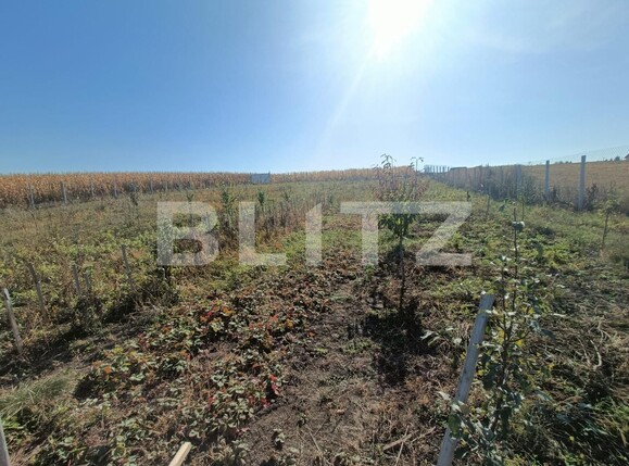 Teren de vânzare Scheia - 133771TV | BLITZ Suceava | Poza6