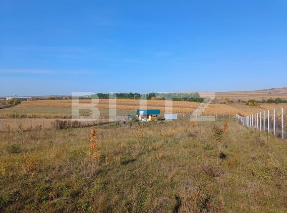 Teren de vânzare Scheia - 133771TV | BLITZ Suceava | Poza10