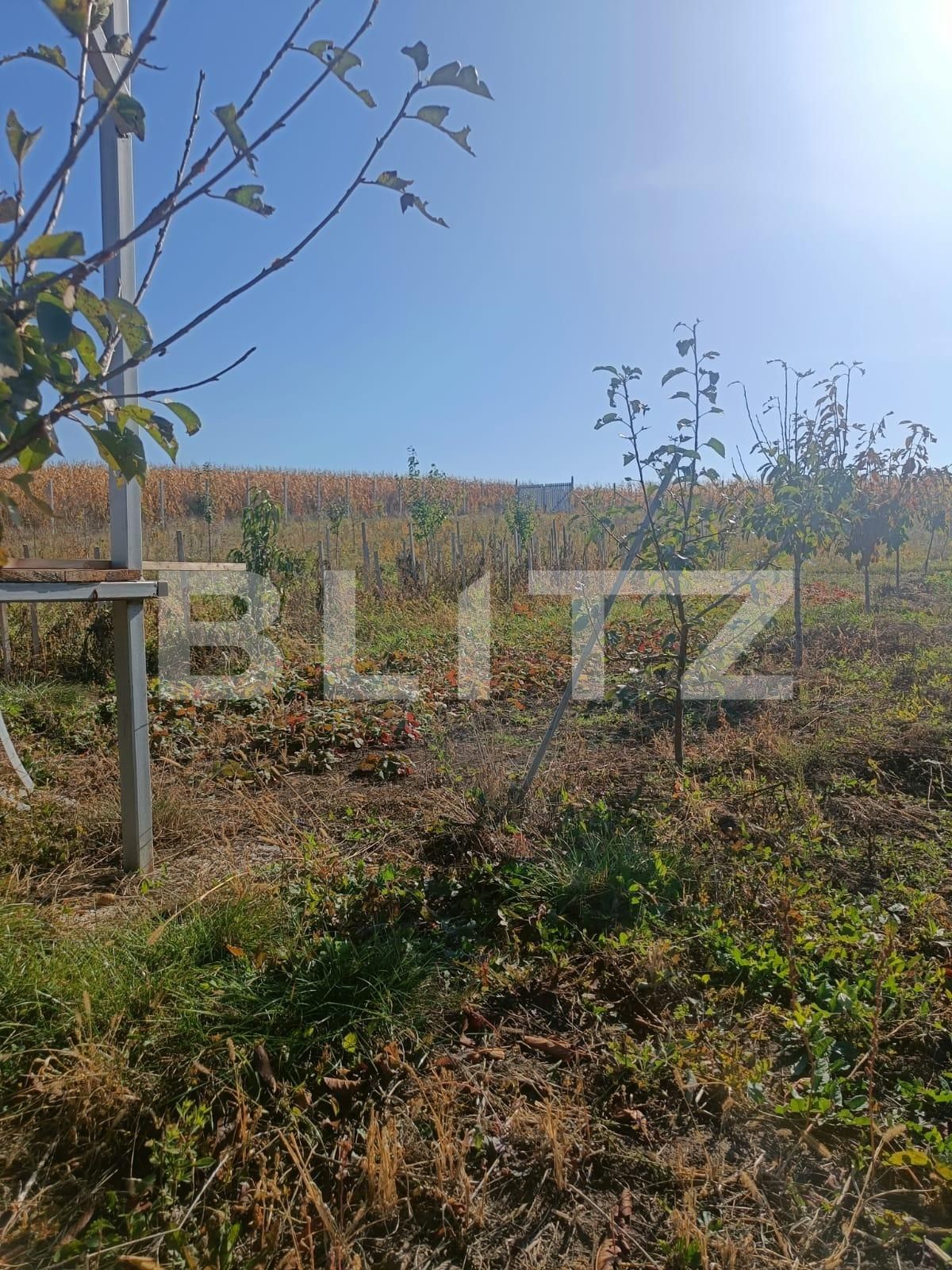 Teren de vânzare Scheia - 133771TV | BLITZ Suceava | Poza2