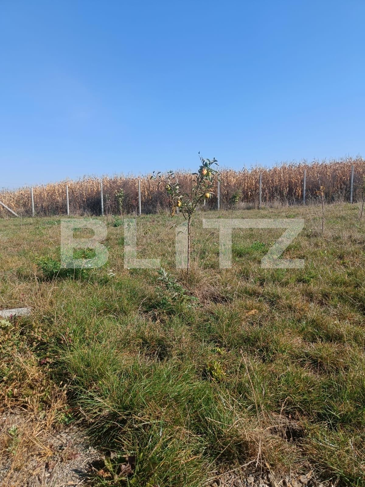 Teren de vânzare Scheia - 133771TV | BLITZ Suceava | Poza3