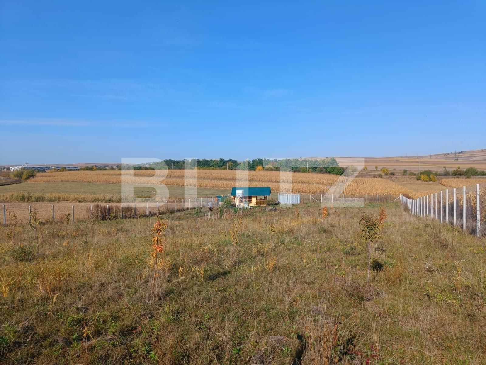 Teren de vânzare Scheia - 133771TV | BLITZ Suceava | Poza10