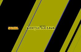 Teren extravilan Salcea, 5,05 hectare, 132 latime