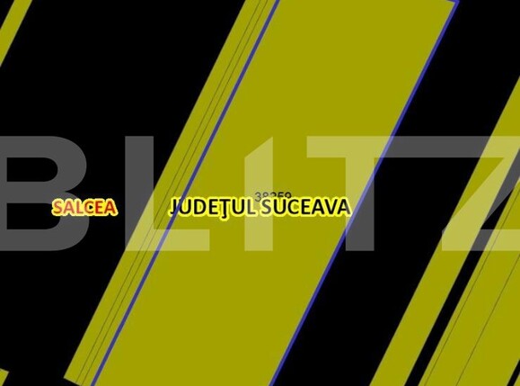 Teren de vânzare Salcea - 133870TV | BLITZ Suceava | Poza2