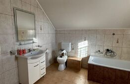 Casa cu destinatii multiple, 8900 mp teren, Vatra Moldovitei