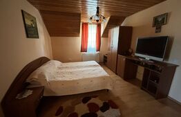 Casa cu destinatii multiple, 8900 mp teren, Vatra Moldovitei