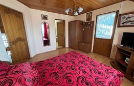 Casa cu destinatii multiple, 8900 mp teren, Vatra Moldovitei