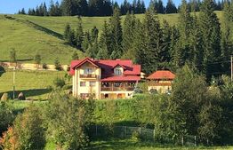 Casa cu destinatii multiple, 8900 mp teren, Vatra Moldovitei