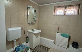 Casa cu destinatii multiple, 8900 mp teren, Vatra Moldovitei