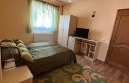 Casa cu destinatii multiple, 8900 mp teren, Vatra Moldovitei
