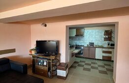 Casa cu destinatii multiple, 8900 mp teren, Vatra Moldovitei