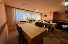 Casa cu destinatii multiple, 8900 mp teren, Vatra Moldovitei